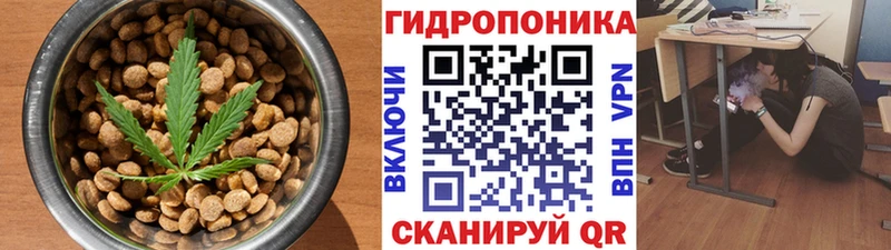 Canna-Cookies конопля  Южа 