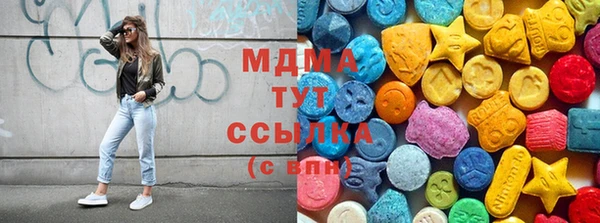 стаф Вязьма