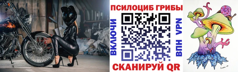 Псилоцибиновые грибы Psilocybine cubensis  Южа 